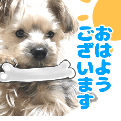 [LINEスタンプ] レオくん日和