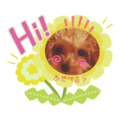 [LINEスタンプ] カルアとショコラ