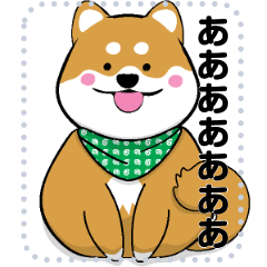 [LINEスタンプ] 柴犬 狂犬 可愛い