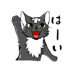 [LINEスタンプ] ばんそーこーネコくろにゃん