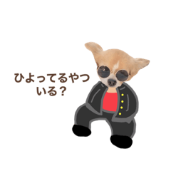 [LINEスタンプ] どうも、ちくわです5
