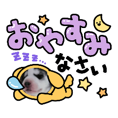 [LINEスタンプ] Crystal HasMara Dogs