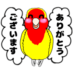 [LINEスタンプ] コザクラインコ 黄色、ゴールデンチェリー