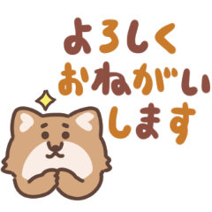 [LINEスタンプ] ふさふさコヨーテ（でか文字）