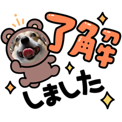 [LINEスタンプ] このたん一家2