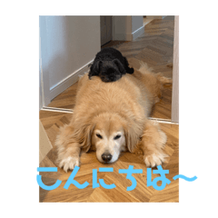 [LINEスタンプ] まぁさんによるまぁさんのためのスタンプ