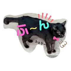 [LINEスタンプ] ぅ和ーッなスタンプ