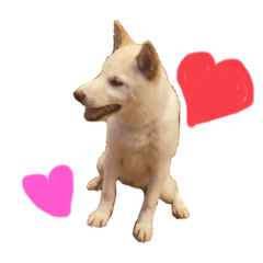[LINEスタンプ] 我が家のはむわん