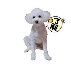 [LINEスタンプ] 雪丸・雫・雪花╰( U ・ᴥ・)m2