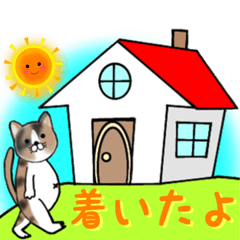 [LINEスタンプ] ねこのテト♪