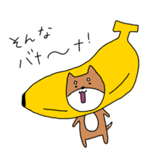 [LINEスタンプ] 被りたがる柴犬