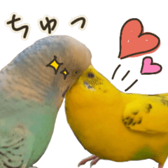 [LINEスタンプ] インコのれもん＆みんと 2