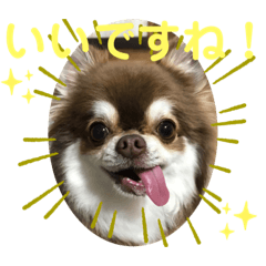 [LINEスタンプ] トラのまき 敬語バージョン