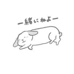 [LINEスタンプ] うさぎ〜みんな違ってみんないい〜