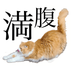 [LINEスタンプ] ゆずるくん①