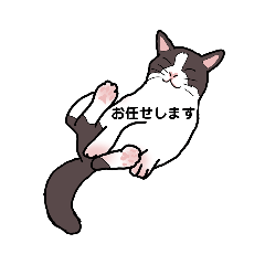 [LINEスタンプ] ririのリアルでシュールな猫のスタンプ