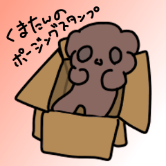 [LINEスタンプ] 夏のくまたんスタンプ