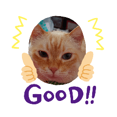 [LINEスタンプ] ぷーぷーふたみ