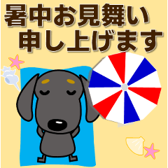 [LINEスタンプ] ダックスフンド 暑中見舞い等 夏編