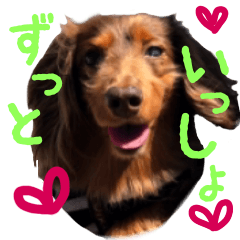 [LINEスタンプ] 愛しのシェリno.2