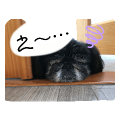 [LINEスタンプ] プー！！！！！