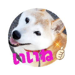 [LINEスタンプ] みんなと一緒 7