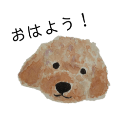 [LINEスタンプ] かもめのわんこスタンププードル