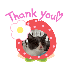 [LINEスタンプ] 。。はなちゃん。。