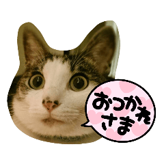 [LINEスタンプ] ごえてつ