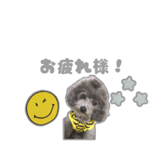 [LINEスタンプ] リンのスタンプ♥