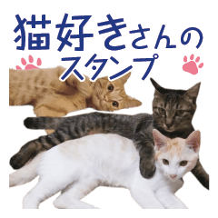 [LINEスタンプ] 猫好きさんのネコスタンプ
