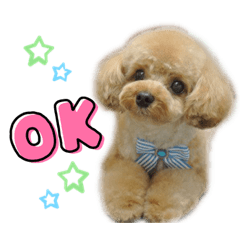 [LINEスタンプ] moco 4