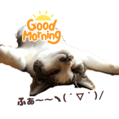 [LINEスタンプ] むぎくんの日常❸