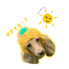 [LINEスタンプ] アルバのスタンプ♥