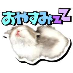 [LINEスタンプ] 波作@bdstamp