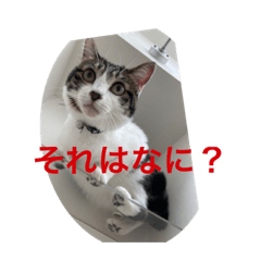 [LINEスタンプ] クロランスマカロン part6