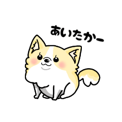 [LINEスタンプ] オハナちゃんの博多弁スタンプ