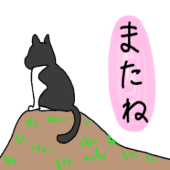 [LINEスタンプ] ハチワレゆうにゃん