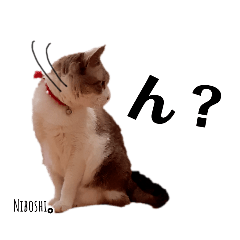 [LINEスタンプ] あばれ猫にぼしちゃん