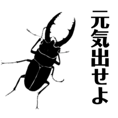 [LINEスタンプ] 昆虫の影絵◆ 日常編