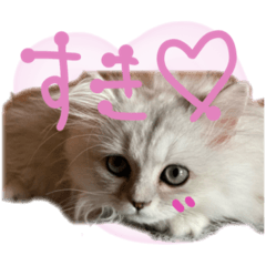 [LINEスタンプ] チンチラのはるひ