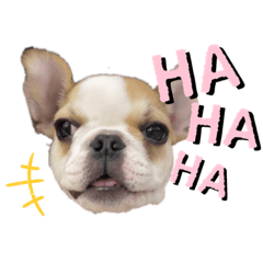 [LINEスタンプ] おてんば娘もなか