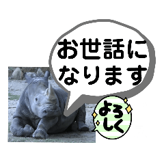 [LINEスタンプ] たけしのスタンプ その26