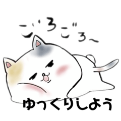 [LINEスタンプ] 猫ちゃん☆日常会話スタンプ