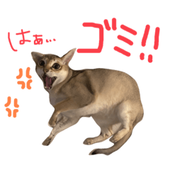 [LINEスタンプ] そちゃんぷ 3