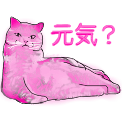 [LINEスタンプ] ブリ猫色々