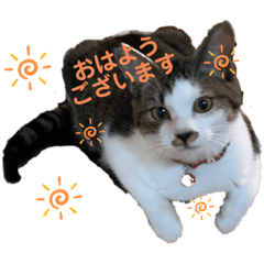 [LINEスタンプ] むぎくんの日常❷！