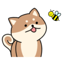 [LINEスタンプ] まんまる柴犬の日常スタンプ