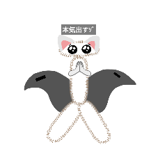 [LINEスタンプ] 水猫ど白猫