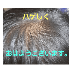 [LINEスタンプ] ハゲしすぎる男